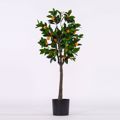 Supergreens Texnito Dentro Portokalia 120cm 2340-6