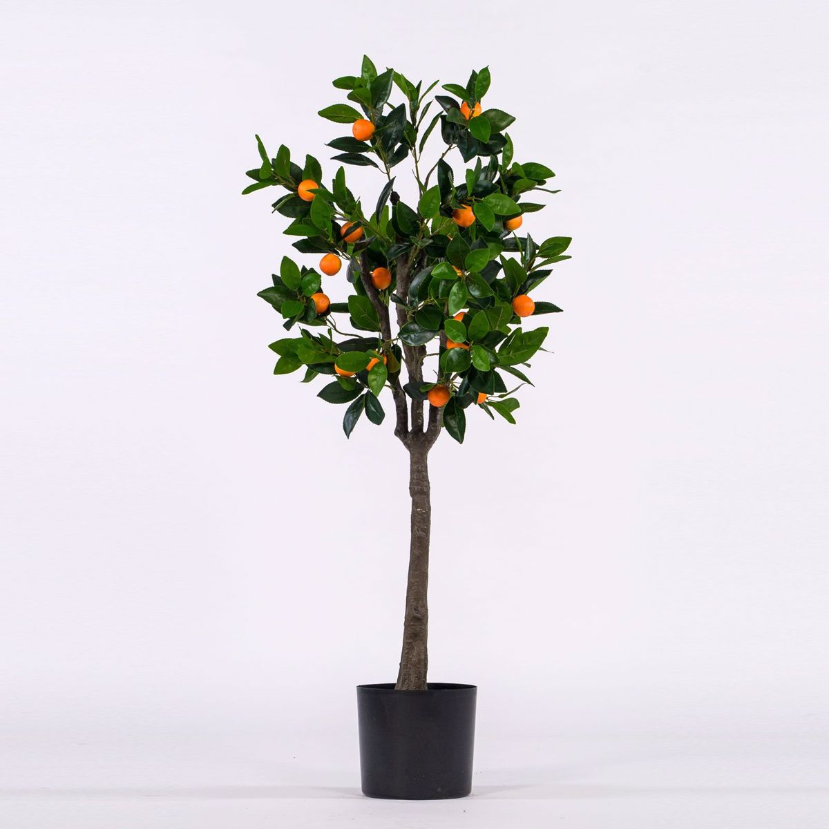 Supergreens Texnito Dentro Portokalia 120cm 2340-6