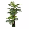 Supergreens Texnito Dentro Foinikas ''Centenial'' Prasino 200cm 2511-6