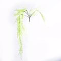Supergreens Texniti Kremasti Tilansia Andreana Prasini Anoixti 90cm 2551-7