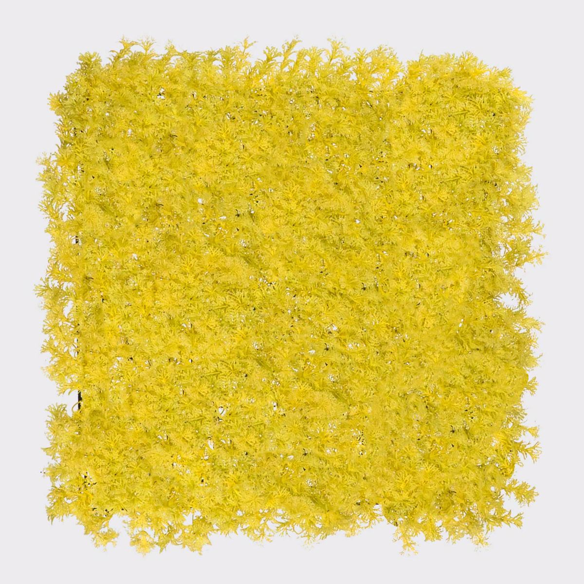 Supergreens Texniti Fullosia Kitrini 50x50cm 2801-7