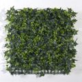 Supergreens Texniti Fullosia Kissos me Trifulli 50x50cm 3031-7