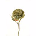 Supergreens Texnito Klonari Paionia Prasini 34cm 3280-7