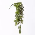 Supergreens Texniti Kremasti Fteri Prasini Skouri 73cm 3361-7