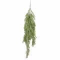Supergreens Texniti Kremasti Fteri Bracken Prasini ''Viridi'' 110cm 3391-7