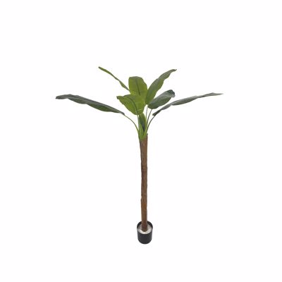 Supergreens Τεχνητό Δέντρο Μπανανιά ''Musa Vertica'' Πράσινο 160cm 3411-6