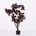 Supergreens Texnito Dentro Fikos Kafe 138cm 3440-6