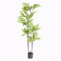 Supergreens Texnito Dentro Fteri 160cm 3840-6
