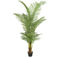 Supergreens Texnito Dentro Areka 120cm 3960-6