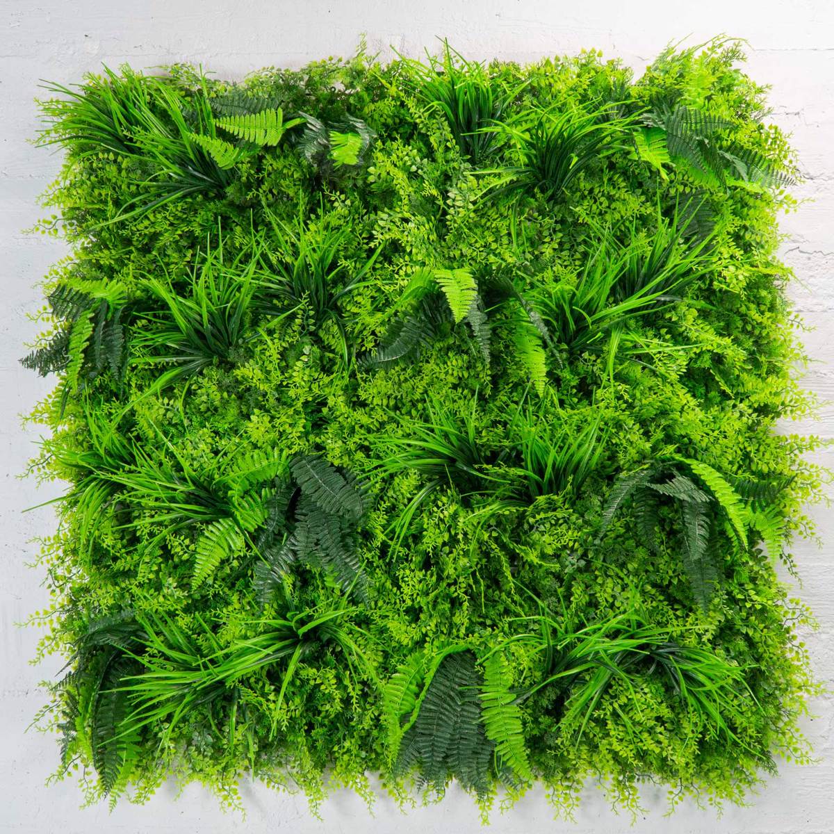 Supergreens Texniti Fullosia Fteri ''Jungle'' 100x100cm 4321-7