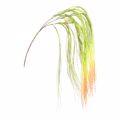 Supergreens Texnito Kremasto Xortari 2-Tone 114cm 4331-7