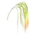 Supergreens Texnito Kremasto Xortari 2-Tone 114cm 4331-7
