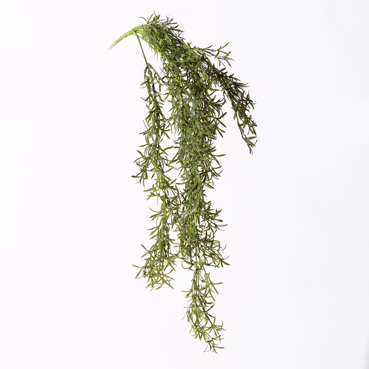 Supergreens Texniti Kremasti Fteri Prasini Skouri 77cm 4361-7