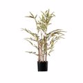 Supergreens Texnito Dentro Bampou 60cm 4560-6