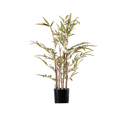 Supergreens Texnito Dentro Bampou 60cm 4560-6