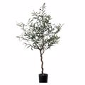 Supergreens Texnito Dentro Elia 120cm 4660-6