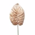 Supergreens Texnito Fullo Filodentro Beloudo Roz 70cm 4831-7
