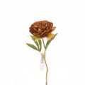 Supergreens Texnito Klonari Paionia Kafe 34cm 5280-7