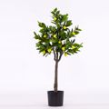 Supergreens Texnito Dentro Lemonia 120cm 5340-6