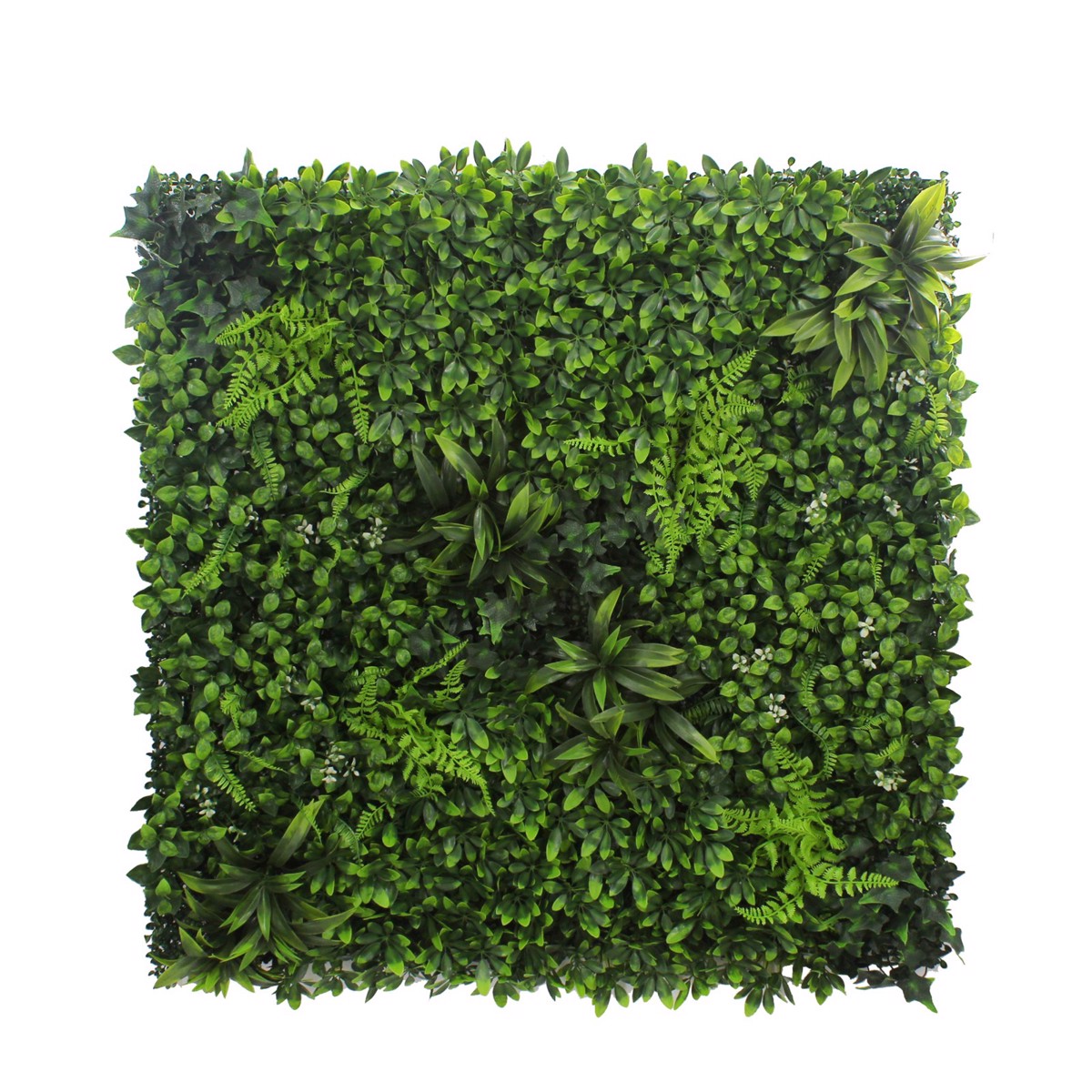 Supergreens Texniti Fullosia Drakaina me Puxari 100x100cm 5351-7