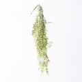 Supergreens Texniti Kremasti Fteri Lefki 77cm 5361-7