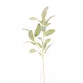 Supergreens Texnito Klonari Prasino 78cm 5420-7