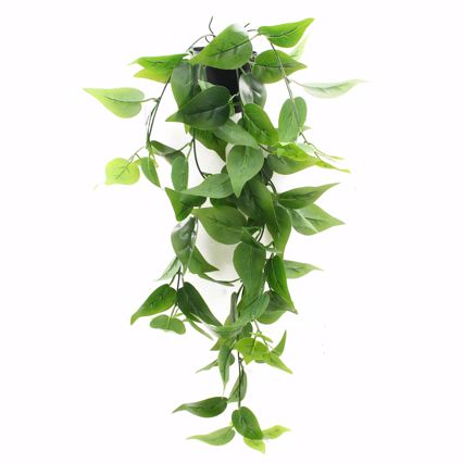 Supergreens Τεχνητό Φυτό Φίκος ''Coide'' Πράσινο 62cm 5591-7