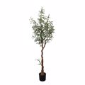 Supergreens Texnito Dentro Elia 150cm 5660-6
