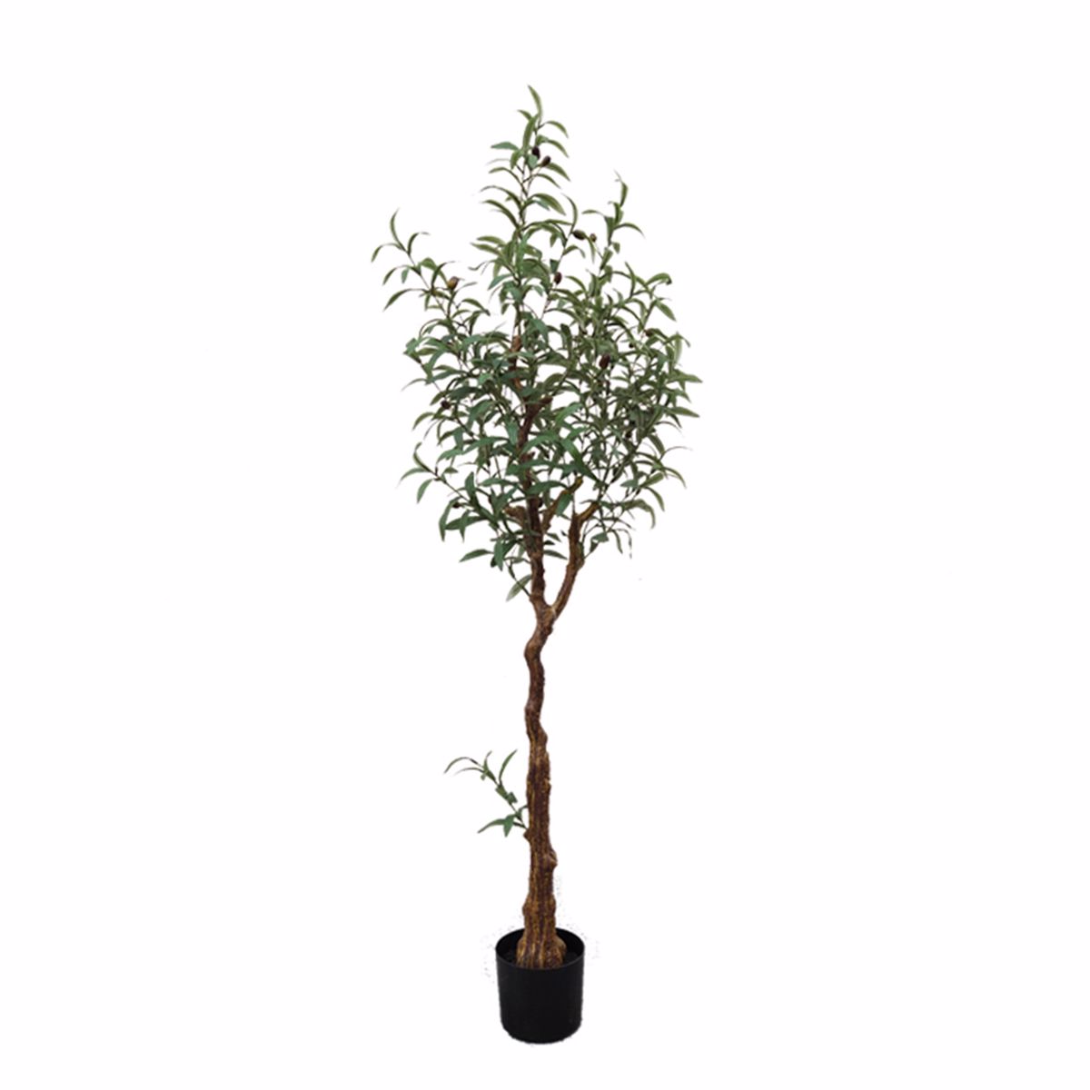 Supergreens Texnito Dentro Elia 150cm 5660-6