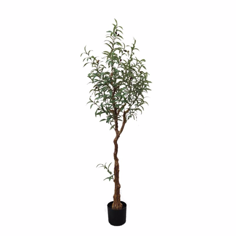Supergreens Texnito Dentro Elia 150cm 5660-6