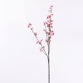 Supergreens Texnito Klonari Rodakinia Roz 100cm 5761-7