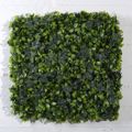 Supergreens Texniti Fullosia Kissos me Fiko 50x50cm 6031-7
