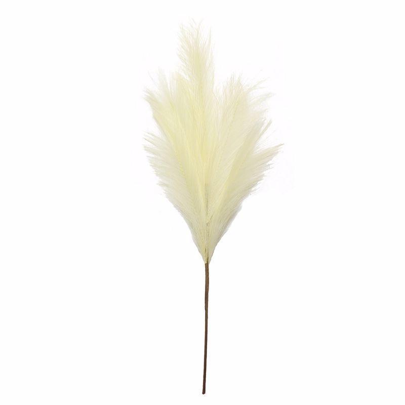 Supergreens Texnito Kladi Ftero Pampas Ekrou 68cm 6071-7