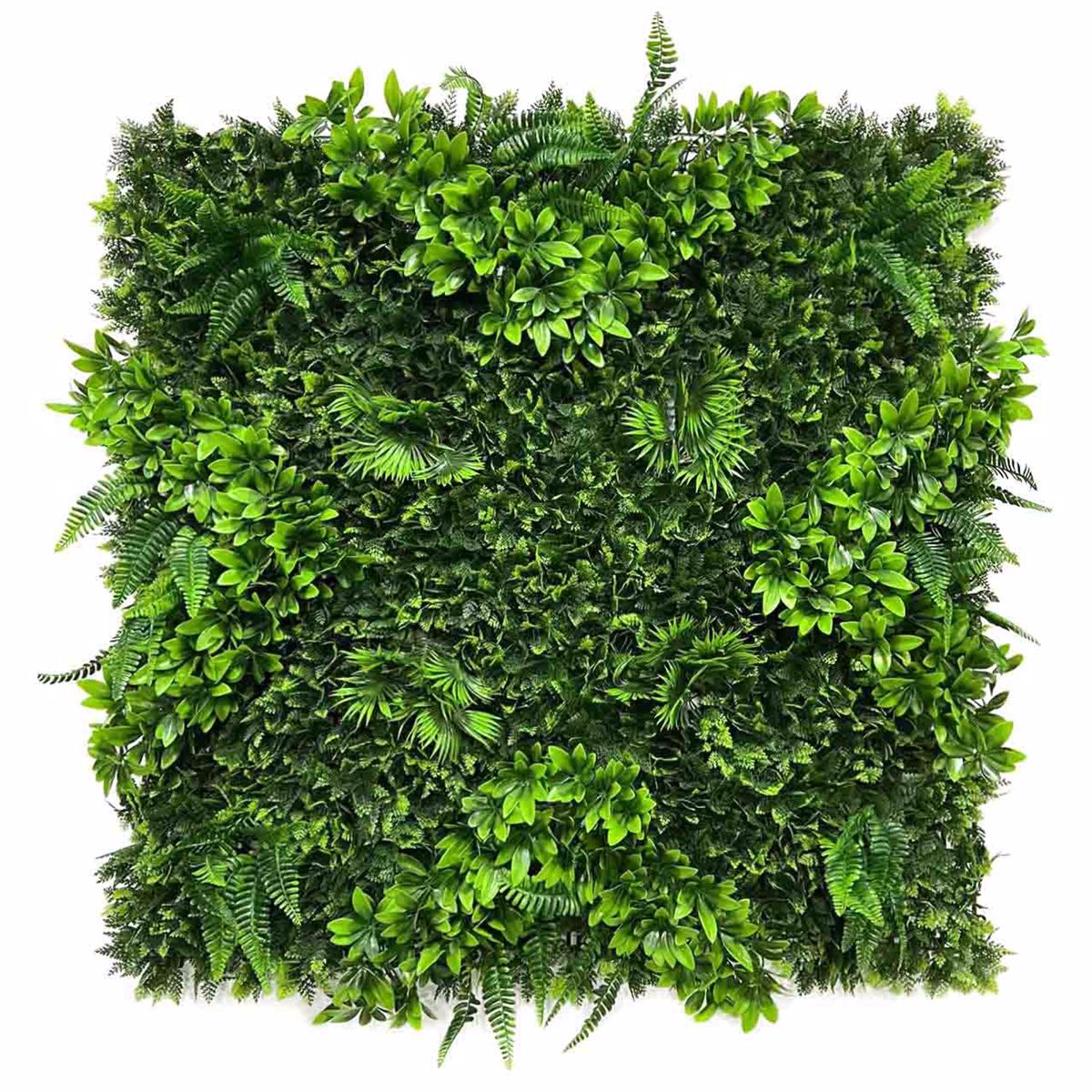 Supergreens Texniti Fullosia Fteri me Fiko ''Floris'' 100x100cm 6291-7