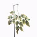 Supergreens Texnito Klonari Dixromo 76cm 6401-7