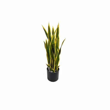 Supergreens Τεχνητό Φυτό Σανσεβιέρια Trifasciata Πράσινο 75cm 6411-6