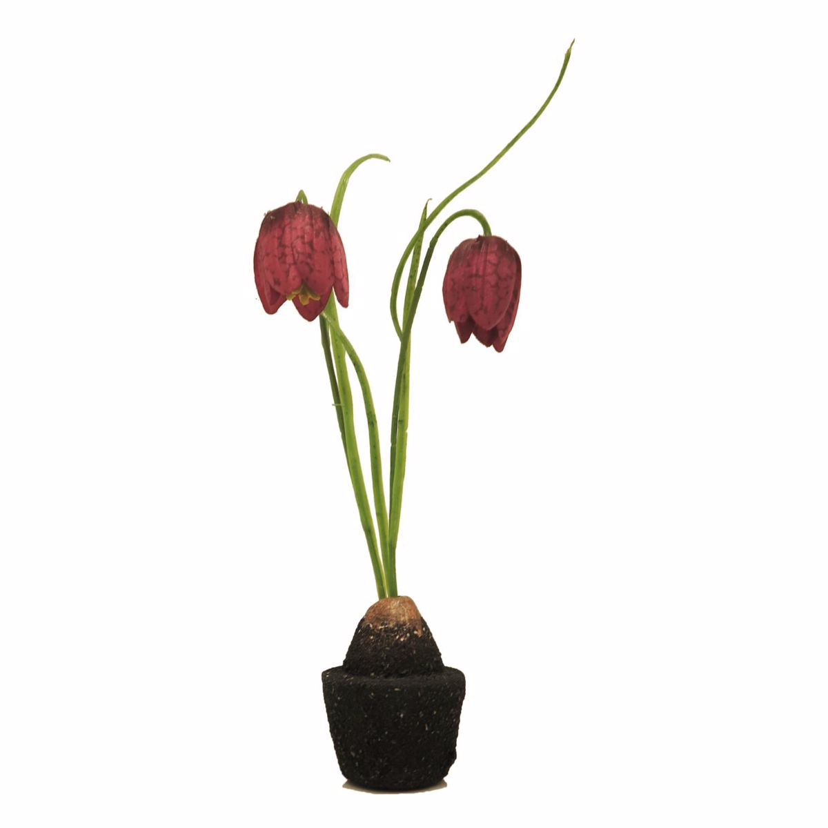 Supergreens Texnito Futo Fritilaria Kokkino 22cm 6570-6