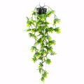 Supergreens Texnito Futo Filodentro Xanadu Panase Prasino 64cm 6591-7