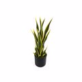 Supergreens Texnito Futo Sansebiera Trifasciata Prasino 55cm 6840-6