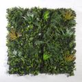 Supergreens Texniti Fullosia Fteri Stipa 100x100cm 7031-7
