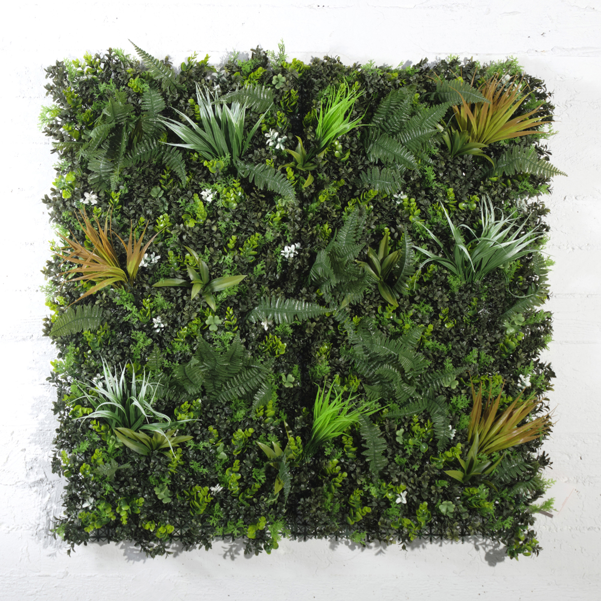 Supergreens Texniti Fullosia Fteri Stipa 100x100cm 7031-7