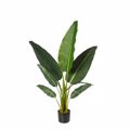 Supergreens Texnito Dentro Pouli tou Paradeisou Strelizia Nicolai 120cm 7080-6