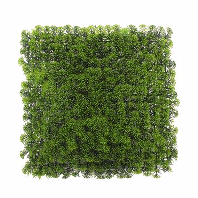 Supergreens Τεχνητή Φυλλωσιά Moss Hyloconium 50x50cm 7291-7