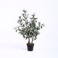 Supergreens Texnito Dentro Elia 70cm 7580-6