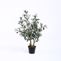 Supergreens Texnito Dentro Elia 70cm 7580-6