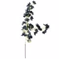 Supergreens Texnito Kladi Boukambilia Mavri 120cm 7721-7