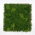 Supergreens Texniti Fullosia Fteri ''Mossy'' 100x100cm 7801-7