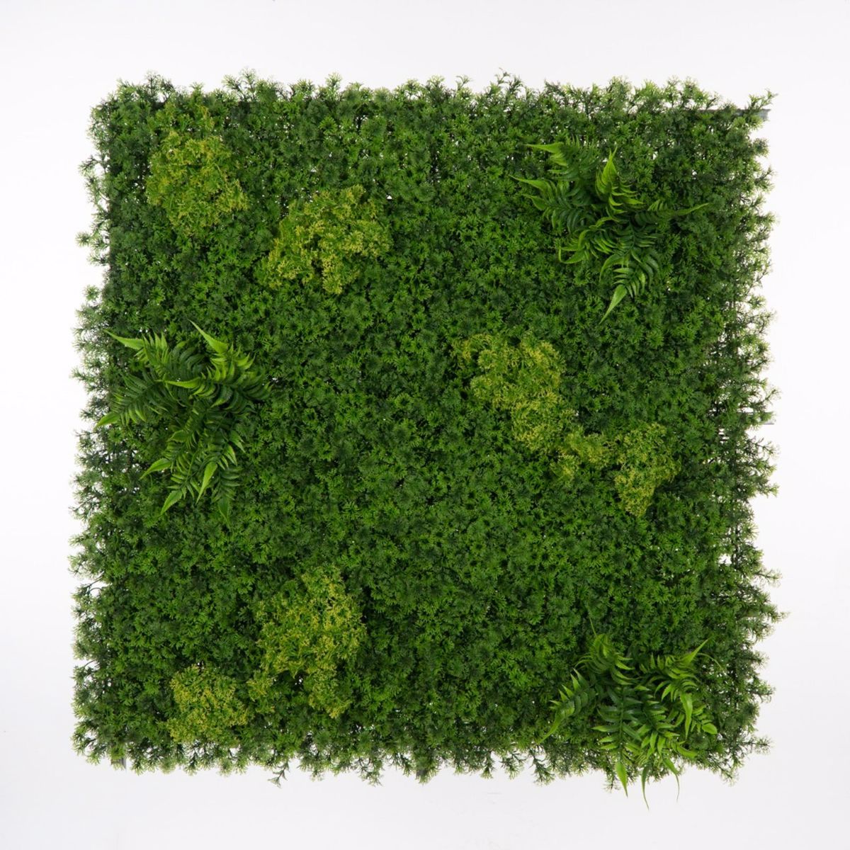 Supergreens Texniti Fullosia Fteri ''Mossy'' 100x100cm 7801-7