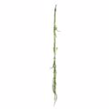 Supergreens Texnito Kremasto Xortari Prasino 110cm 7821-7
