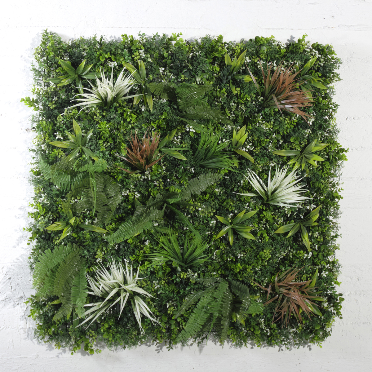 Supergreens Texniti Fullosia Fteri me Puxo 100x100cm 8231-7